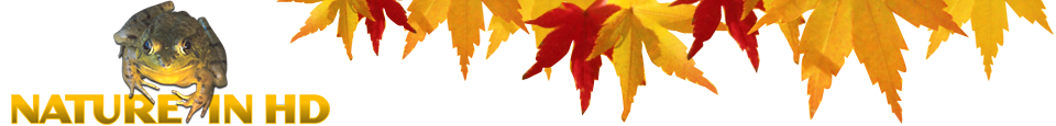 TheStyle Logo